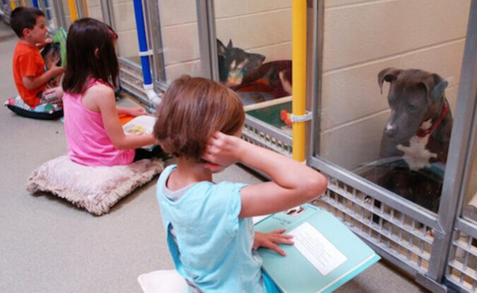 Kinder lesen scheuen Tierheimhunden Bücher vor, um sie auf das Leben in einer neuen Familie vorzubereiten