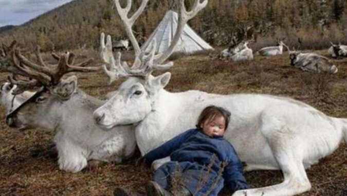 Der Stamm der Tsaatan: die überraschende Lebensweise der Rentierzüchter in der Mongolei