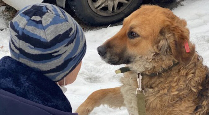 Obdachloser unglücklicher Hund im Müllcontainer gab Menschen Pfote, als er auf Hilfe hoffte